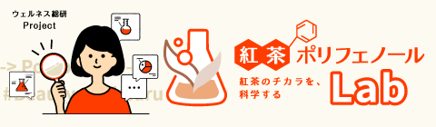 紅茶ポリフェノールLab